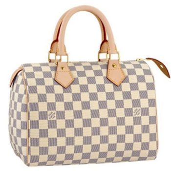 The-Speedy-louis-vuitton-bag.jpg