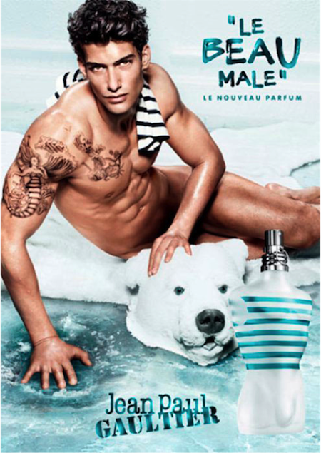 beau_male.png
