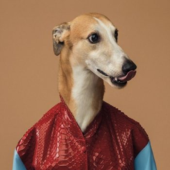 trussardi_40.jpg