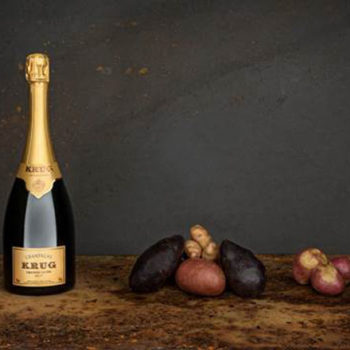 krug2.jpg krug2.jpg