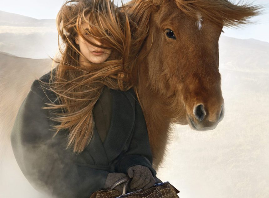 The Saddles Of Hermès