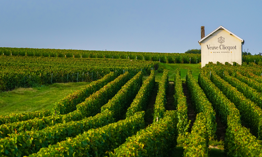 VCP-vignes The Champagne Food Pairings By Veuve Clicquot Rosé