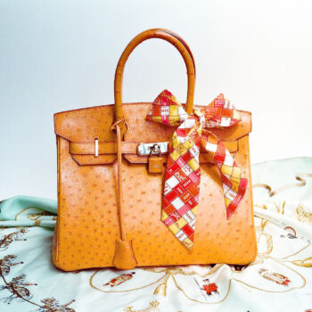 Hermes_Ostrich_Birkin_Bag-1 A Beginner’s Guide to Choosing a Great Handbag