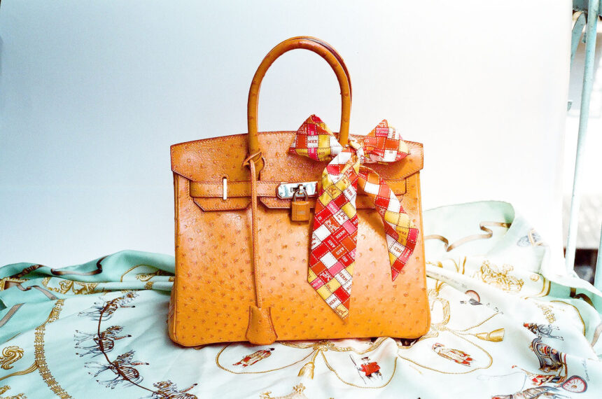 Hermes_Ostrich_Birkin_Bag-1 A Beginner’s Guide to Choosing a Great Handbag