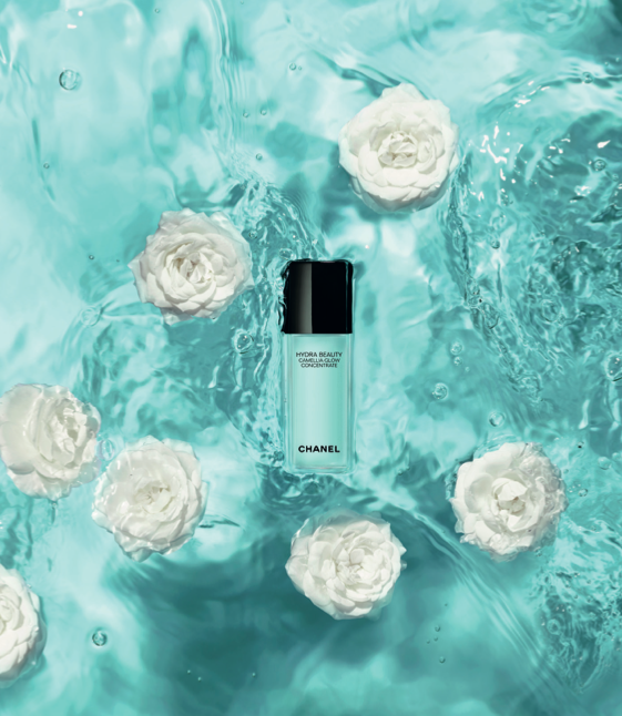 CAMÉLIAS CHANEL