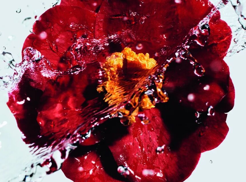 Chanel N°1: Camelia Inspires A New Cosmetic Line