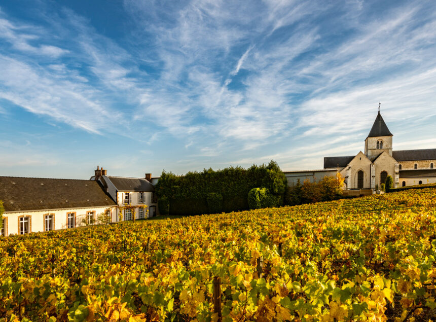 photo by Leif Carlsson Salon 2012 : The Last Vintage of the Icon of Champagne !