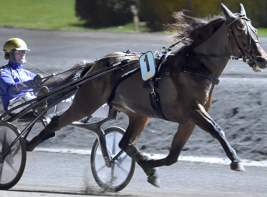 calgarygames-oksitePARZ-3nov22 The Great Equestrian Events in France 2023