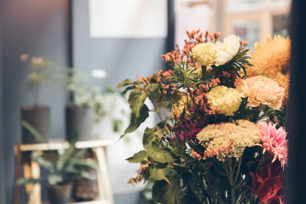 Madame Z : Spa Au Coeur Parisien