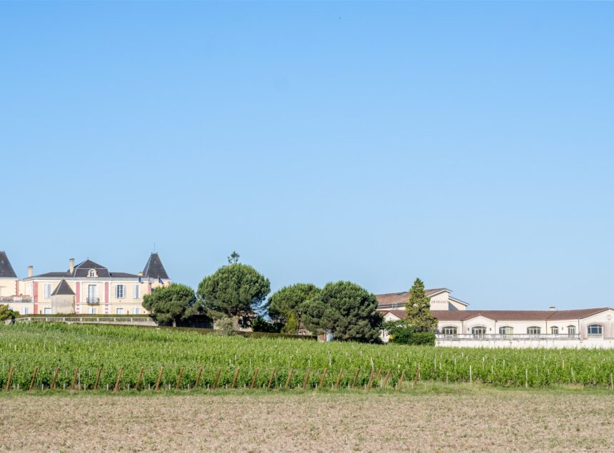Château de France : Incontournable des Pessac-Léognan