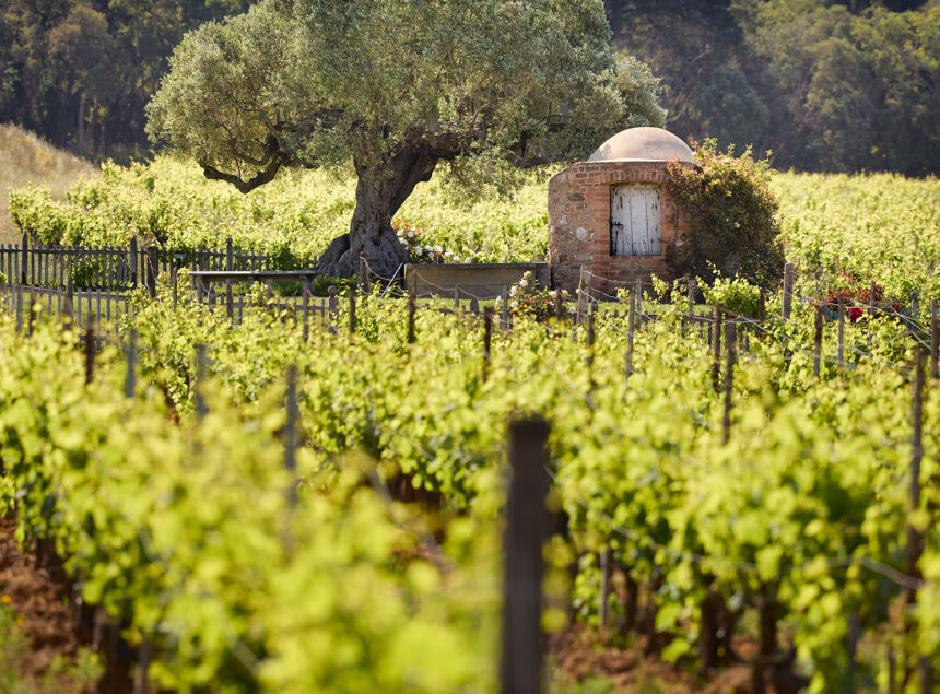 Château Malherbe : Terroir Provençal