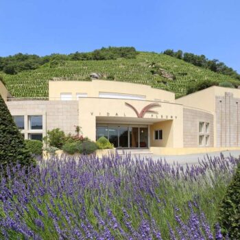 Maison Vidal-Fleury et Ses Vins d’Exception