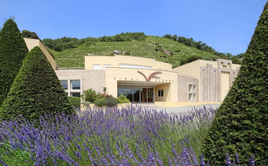 Maison Vidal-Fleury et Ses Vins d’Exception