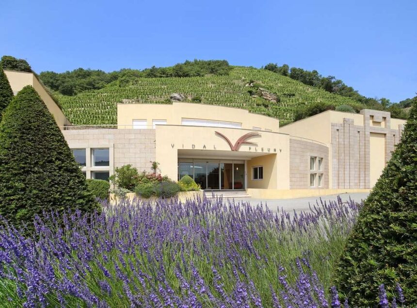 Maison Vidal-Fleury et Ses Vins d’Exception