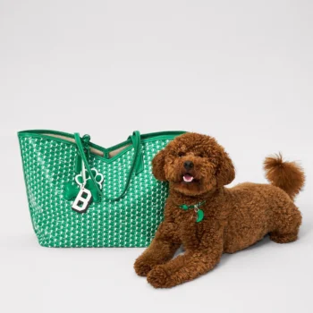 Moynat La Collection Pour Les Animaux de Compagnie