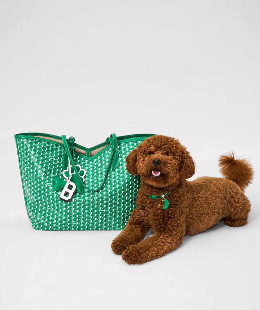 MOYNAT_LUKAS_180625_01_0062_53c3c82b-3471-47d0-8a37-bb7c896eb54f Moynat La Collection Pour Les Animaux de Compagnie