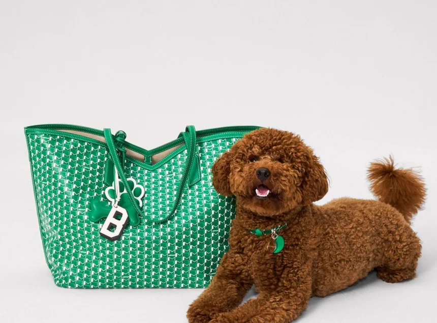 Moynat La Collection Pour Les Animaux de Compagnie