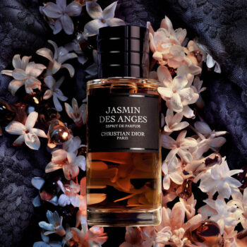 Jasmin des Anges Esprit de Parfum de Dior entouré de fleurs de jasmin