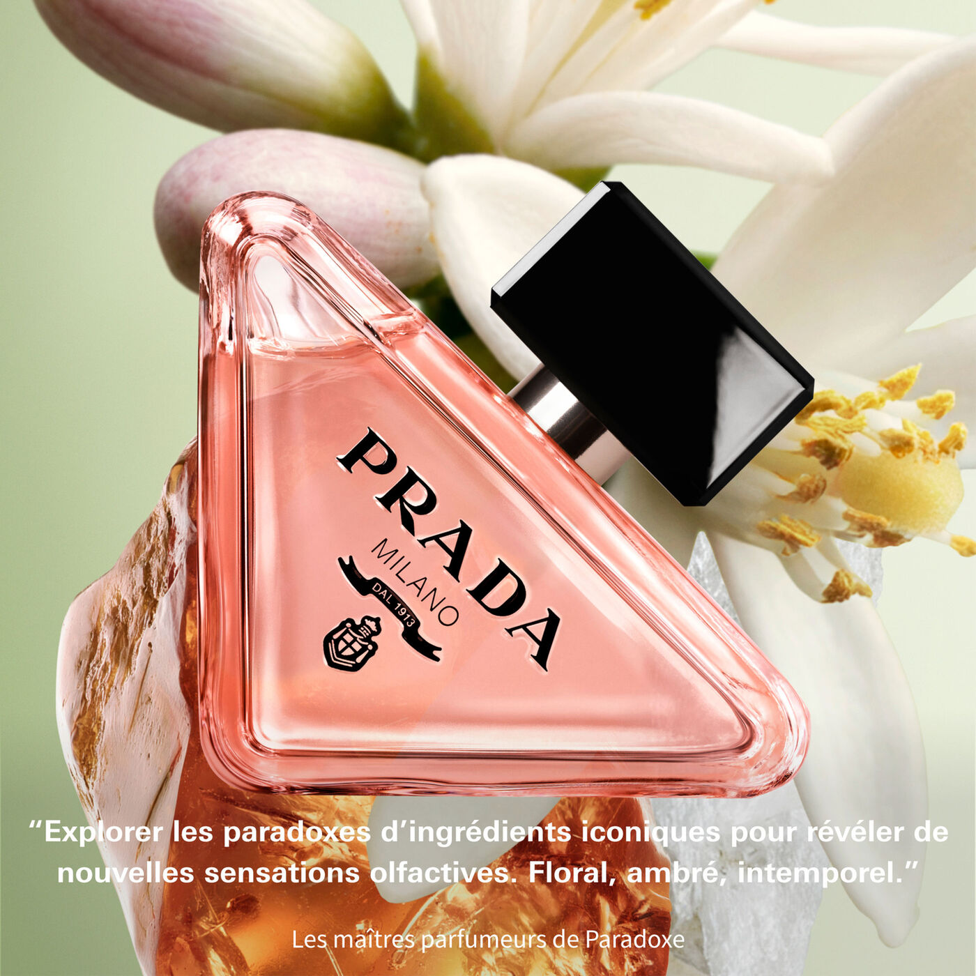 Prada Paradoxe, flacon triangulaire au milieu de fleurs blanches et de matières ambrées